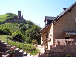 Weingut Stelter Wein Weinverkauf Ferienwohnung Weingut Weinkeller Weinbau Winzersekt Weinfest Winzerfest Weinprobe Rhein Mittelrhein Loreley Bacharach Oberwesel R&uuml;desheim Weinversand Weltkulturerbe Bingen Koblenz &Uuml;bernachtung Hotel